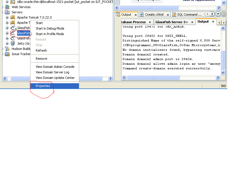 Moumie Reset glassfish password SOLVED