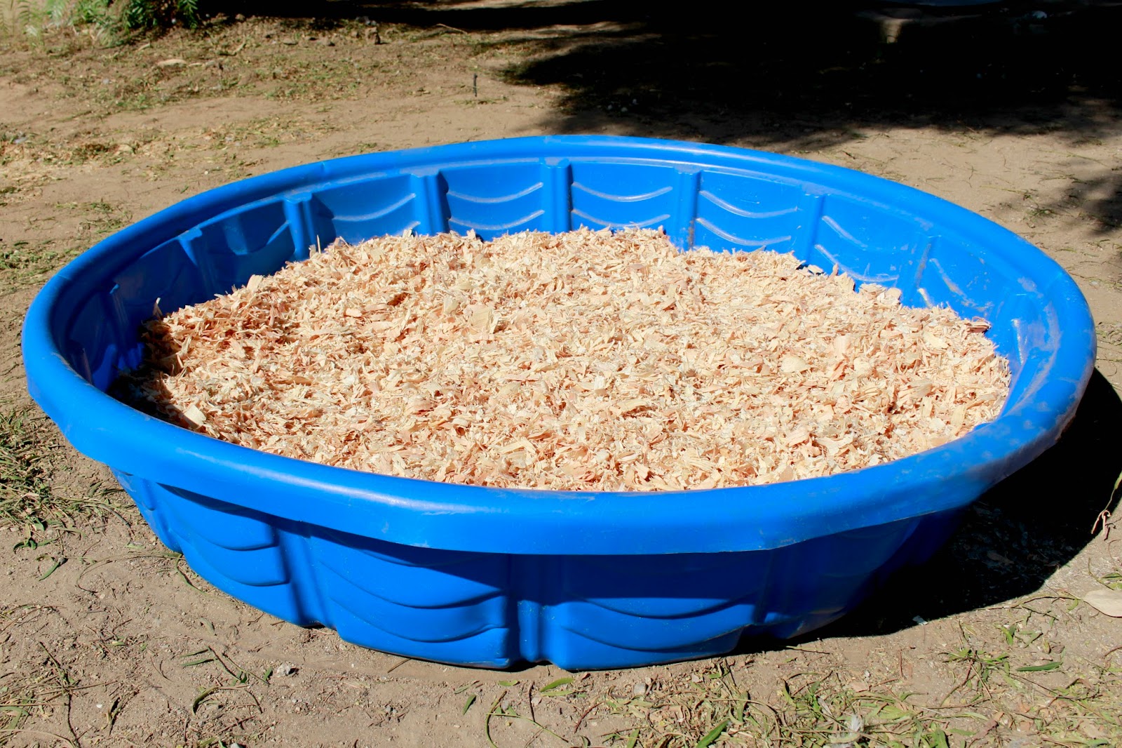 Metzer Farms Duck and Goose Blog Getting Ready for Your Ducklings and