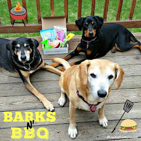 3 rescue dogs with Pooch Perks subscription box BBQ