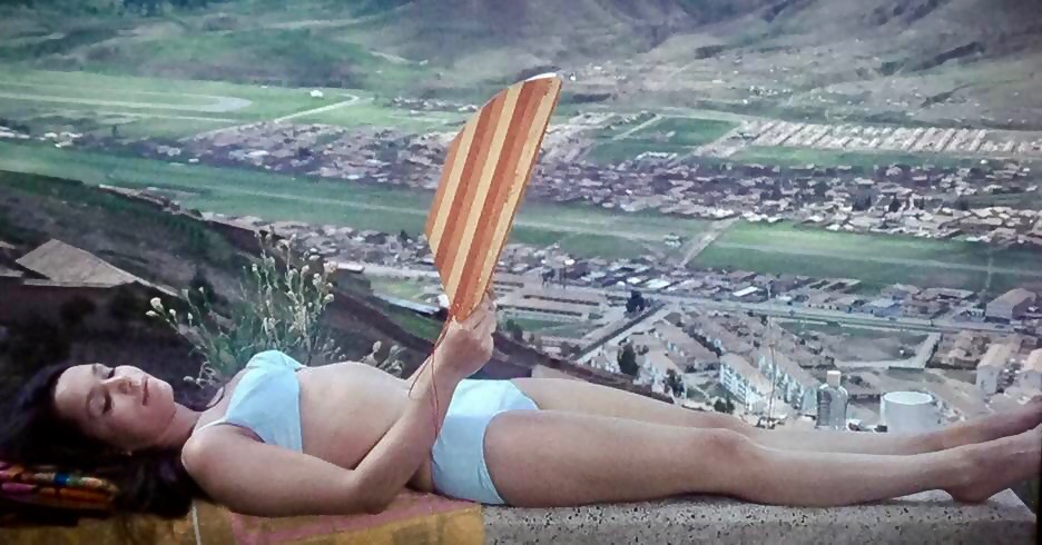 Actress donna baccala