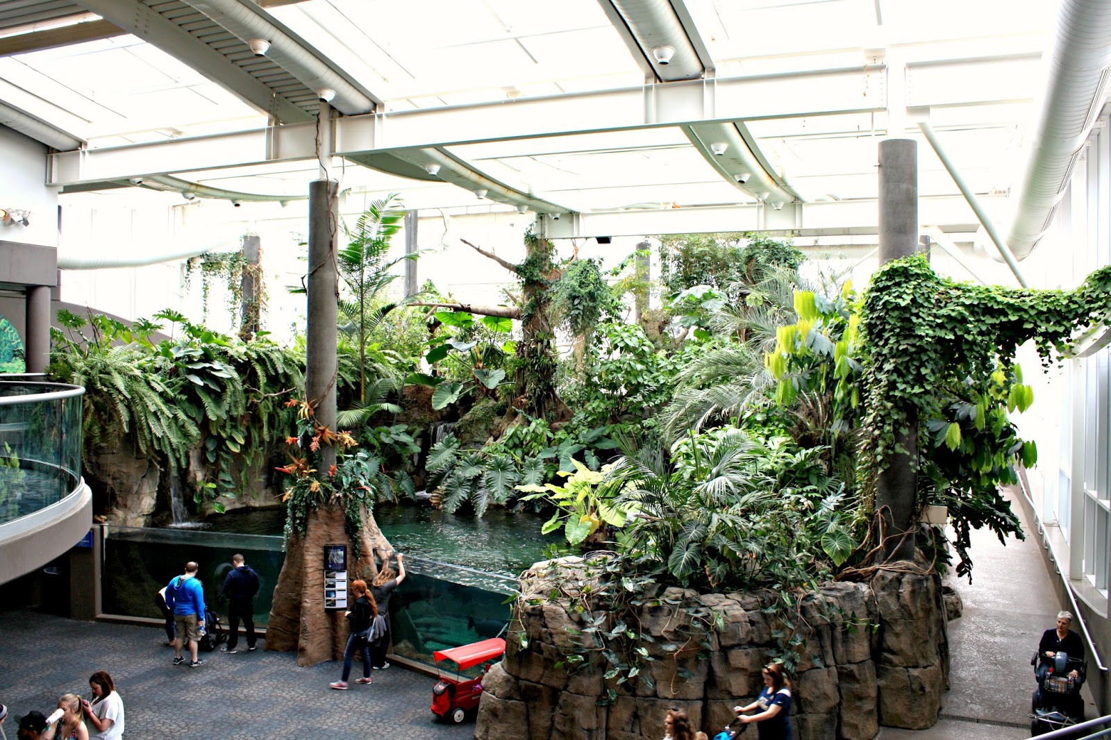 A Little Time and a Keyboard An Afternoon With the Animals of the