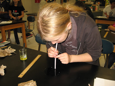 Mr. Williams 6th Grade Science Blog: Bubbles!