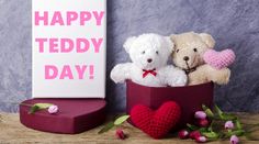 teddy day images