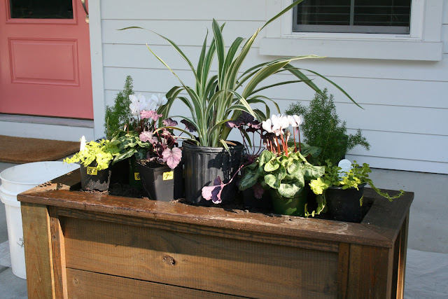 Fall Winter Charleston Porch Window Boxes | The Lowcountry Lady