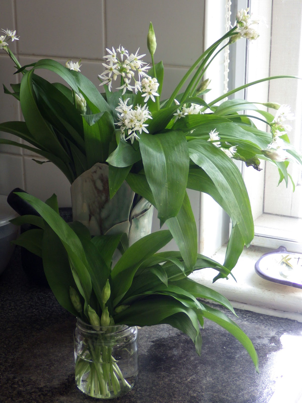 Culture, Craft & Cooking! Wild Garlic Pesto