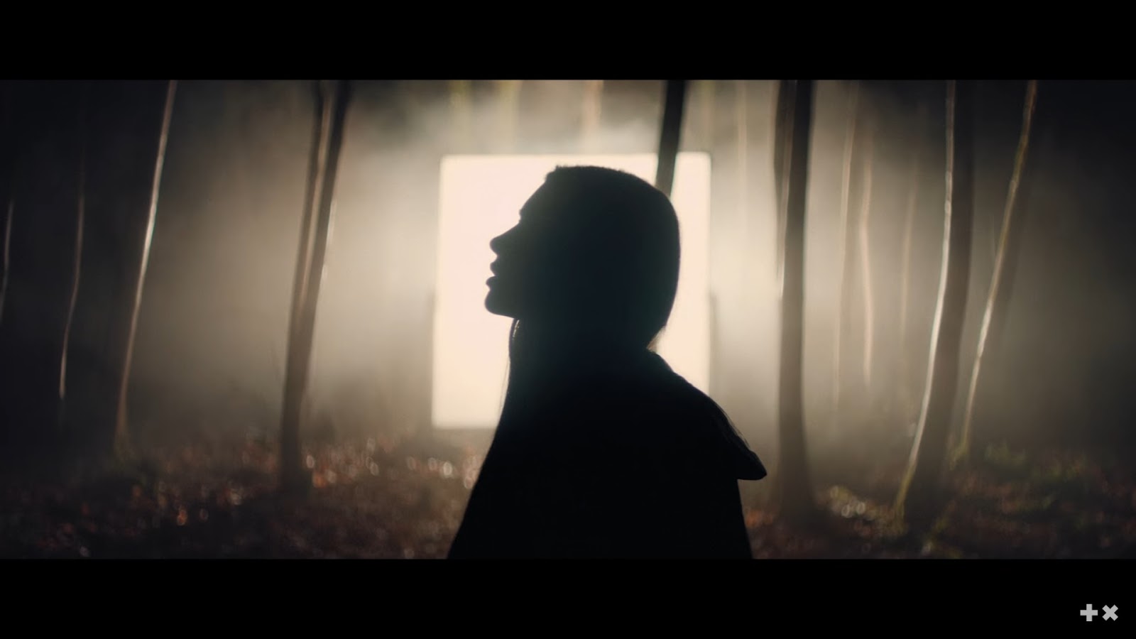 Lonely day кадры с клипа. Martin garrix cocoon remix. Scared to start. Martin garrix dua lipa scared to be lonely. Scared to start.