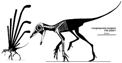Longisquama_insignis_skeleton&silhouette