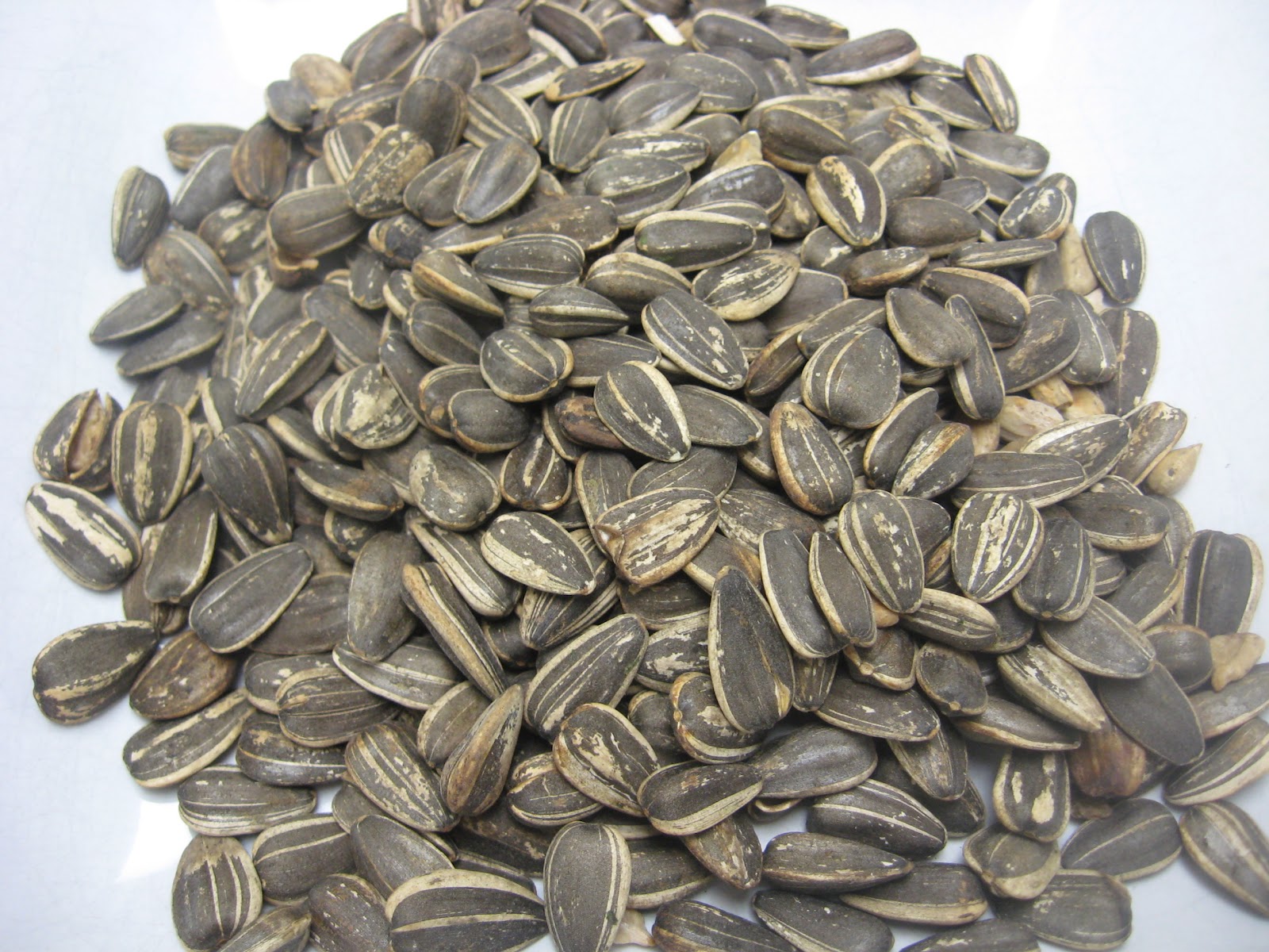What will we eat?: Sunflower seeds a great vegan snack.