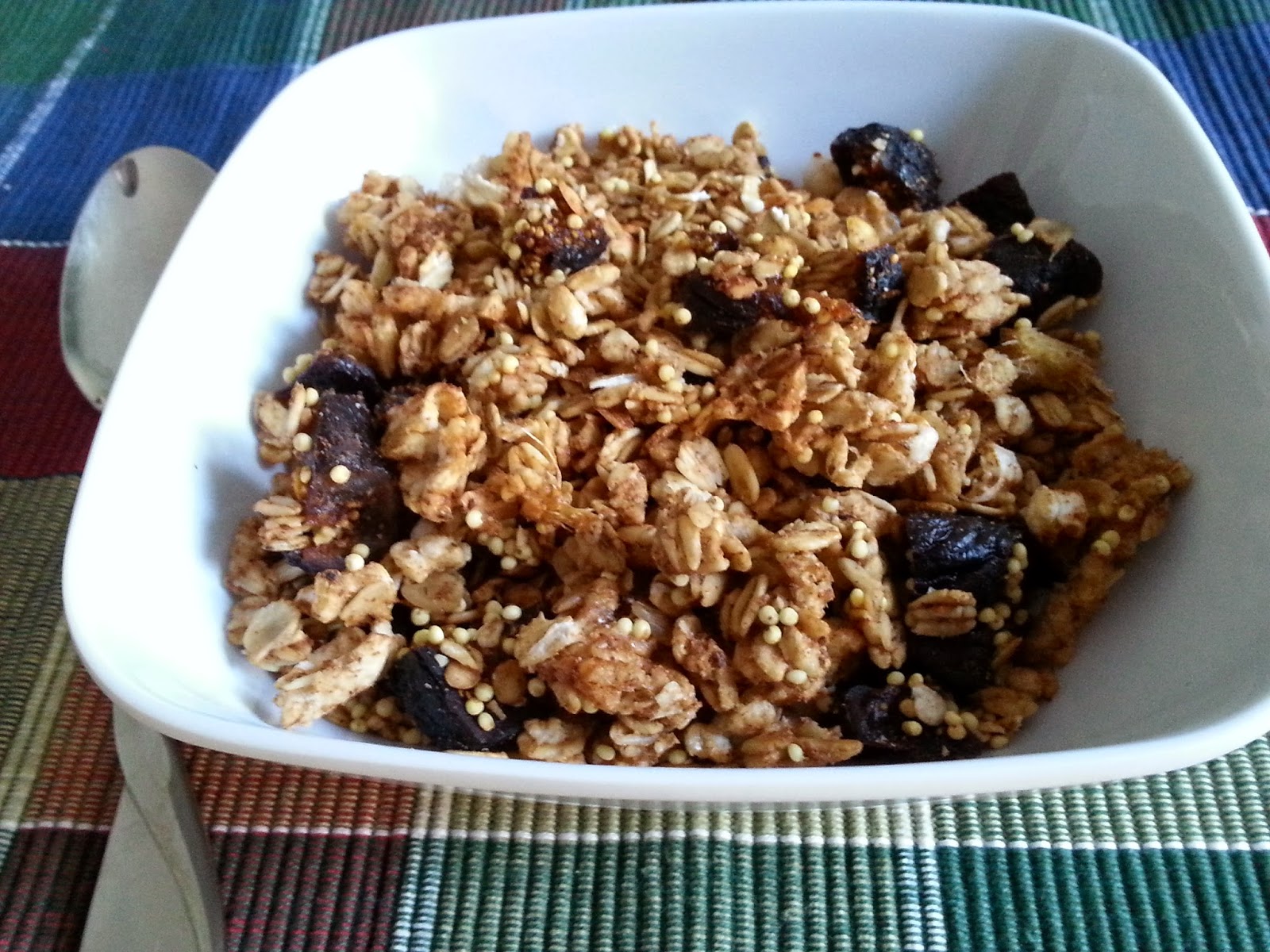 HighProtein Ginger Fig Granola