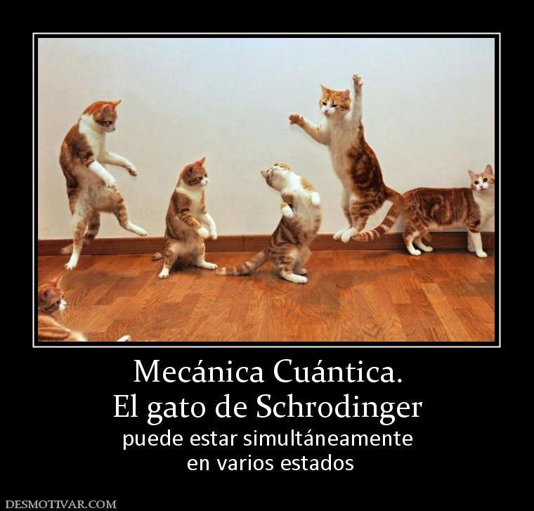 TERMODINÁMICA (AEF-1065): La Paradoja del Gato de Schrödinger