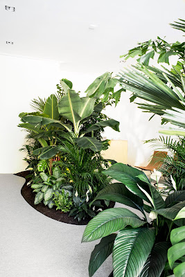 la casa por el jardín: la jungla interior