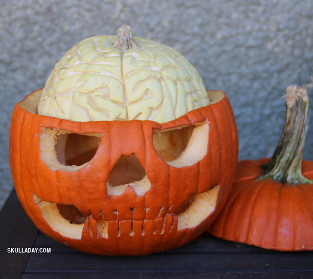 [BONUS] Pumpkin Anatomy II: Update