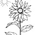 Top 10 Sunflowers Coloring Pages Pictures
