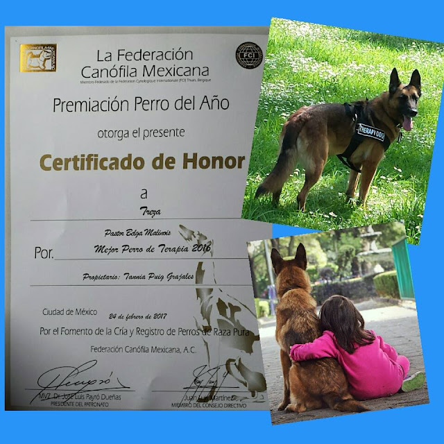 Terapia con Can febrero 2017 Terapia con Can febrero 2017