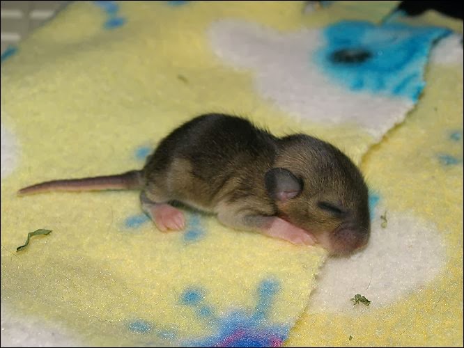 Careless Whispers Five Days in February