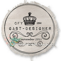 Gast-designer november bij CFY