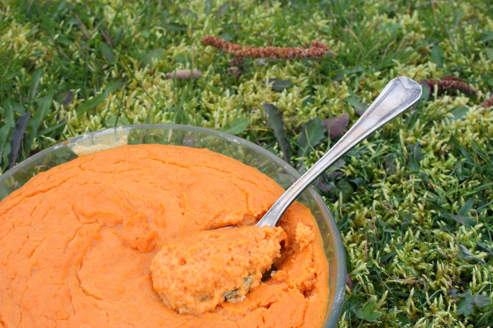 cocotte chlorophylle: Duo carotte, patate toute douce sur lit d'amarante