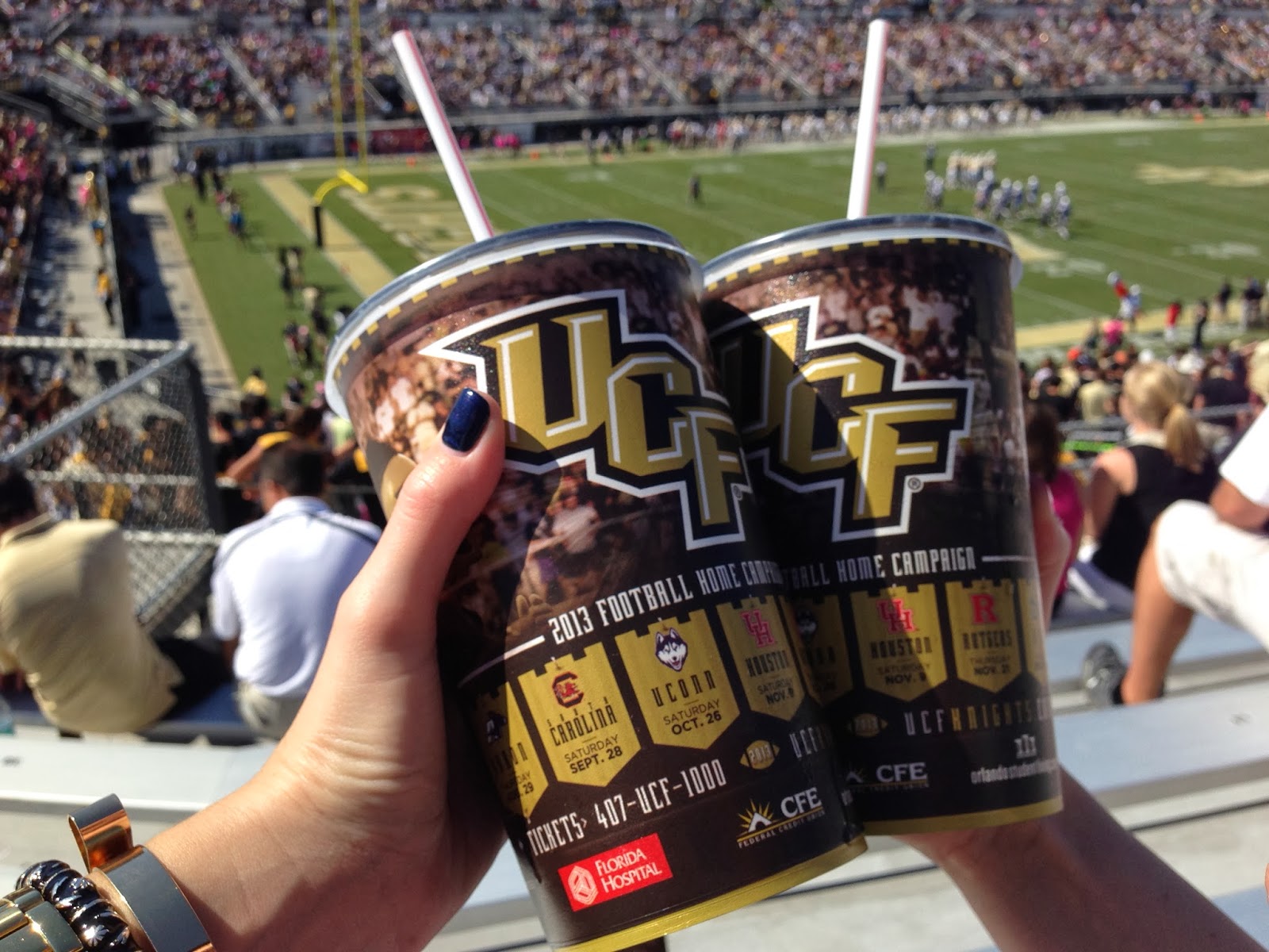 I Bleed Black and Gold UCF Tailgating 101
