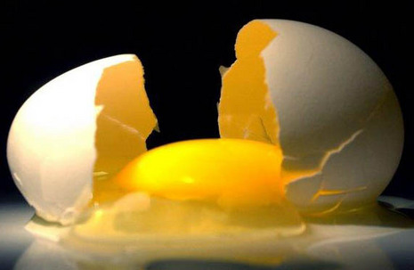 Sterzoeker: Ei & Paasei Sterzoeker: Ei & Paasei