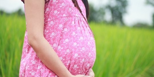 Pendapat Para Ulama Soal Bayar Hutang Puasa dan Bayar Fidyah Bagi Ibu Hamil Pendapat Para Ulama Soal Bayar Hutang Puasa dan Bayar Fidyah Bagi Ibu Hamil