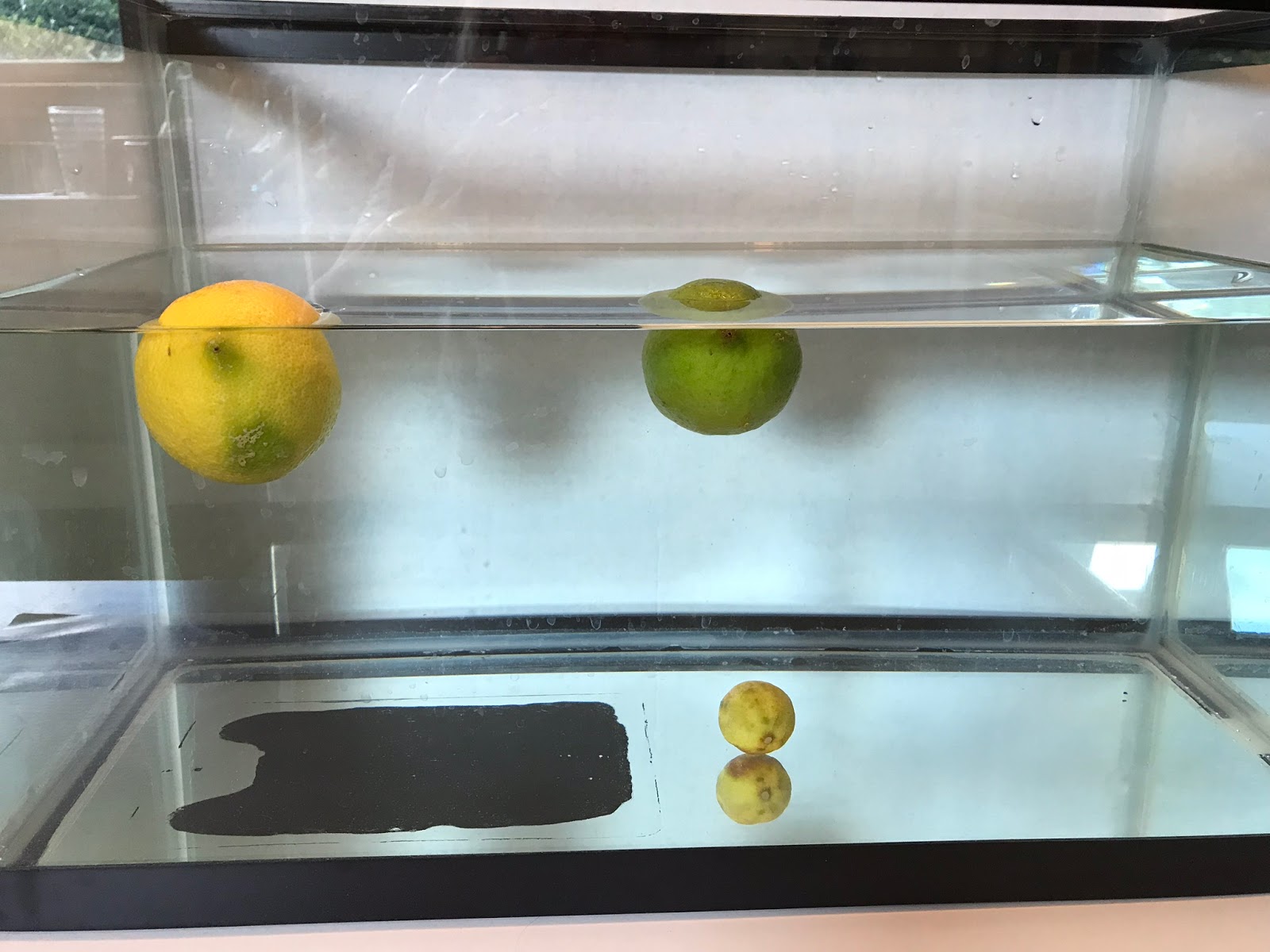 Adventures In Storytime (and Beyond) Sink or Float? Buoyancy STEAM