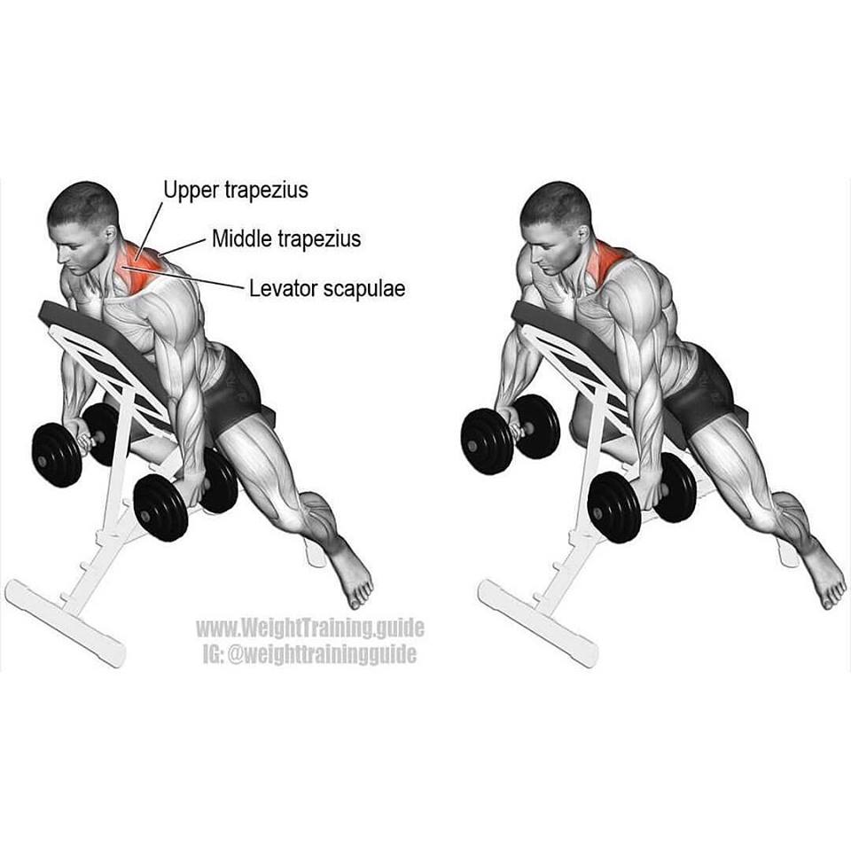 Traps exercises. How To GYM
