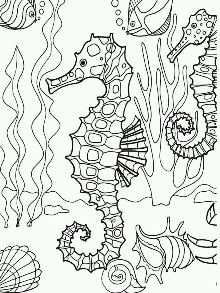 Desenhos Fundo do Mar para colorir
