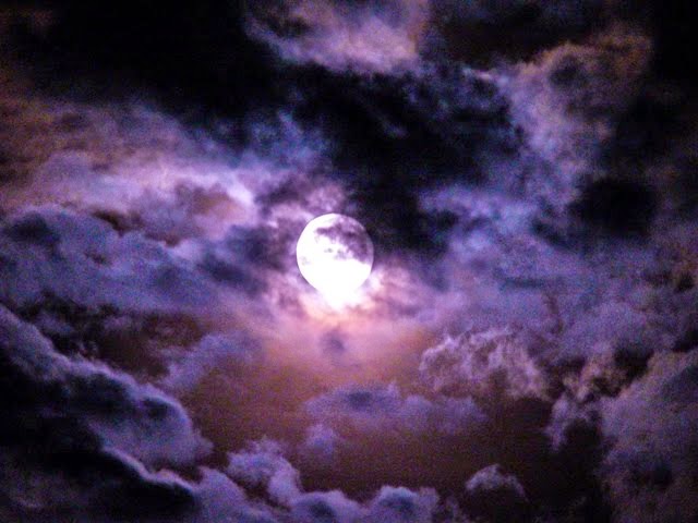 Purple Moon