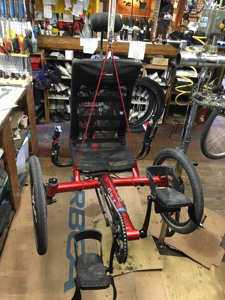 recumbent trike hoist