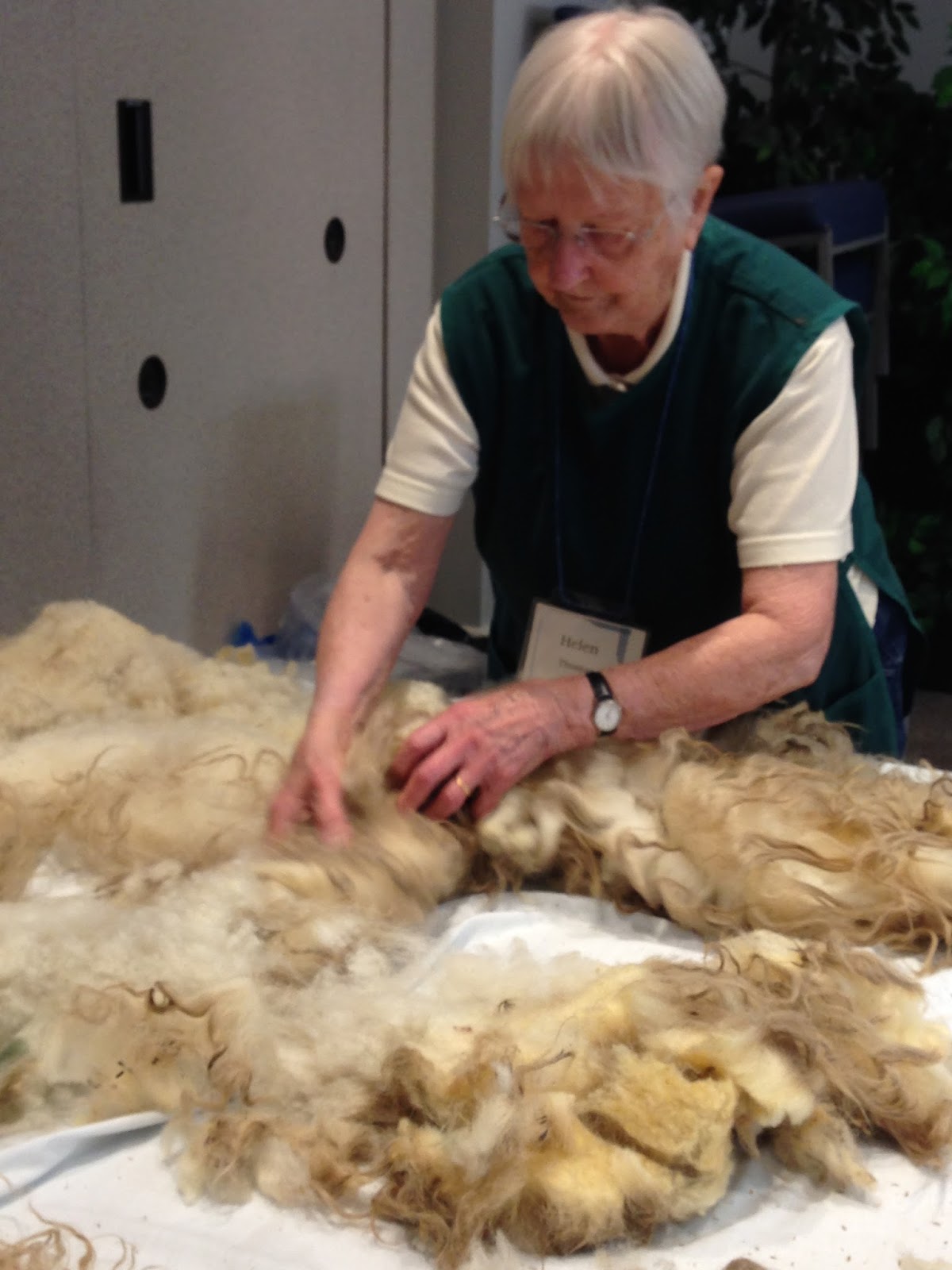 DCWS Skirting the Fleece Spinning in the Grease