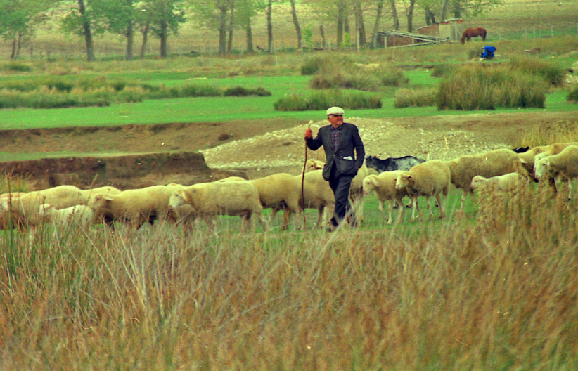 Ilustrados Europeos Trashumancia en Extremadura Historia 5