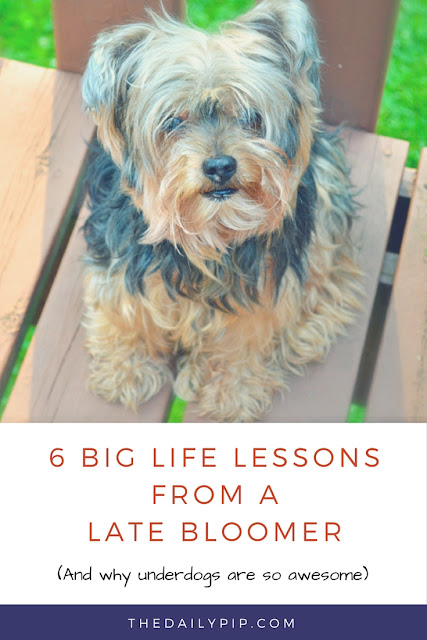 late bloomers rock Six life lessons from a late bloomer and why underdogs are awesome!