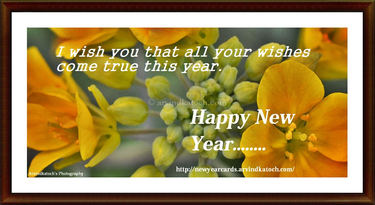 HD True Pic New Year Cards 2023 I wish you that all your wishes come
