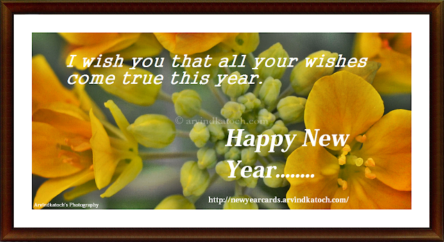 wishes, New Year, Card, Hd Card, Flower Card, New Year Flower Card