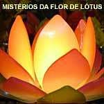 Mistérios da flor de lótus