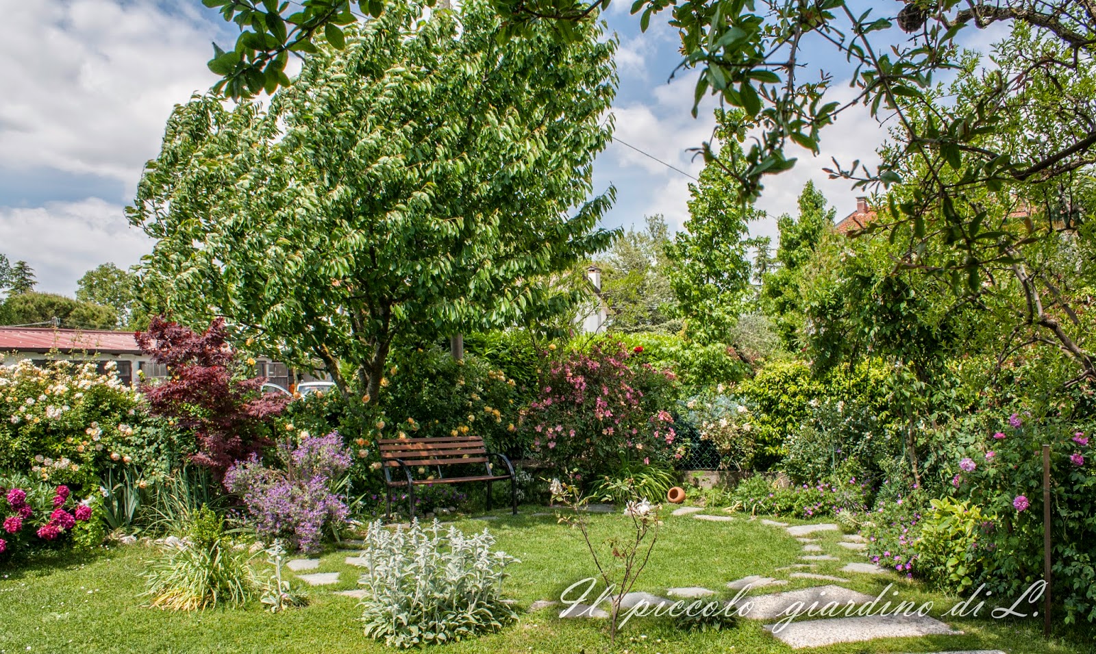 Il piccolo giardino di L. Una visione d'insieme del mio piccolo giardino