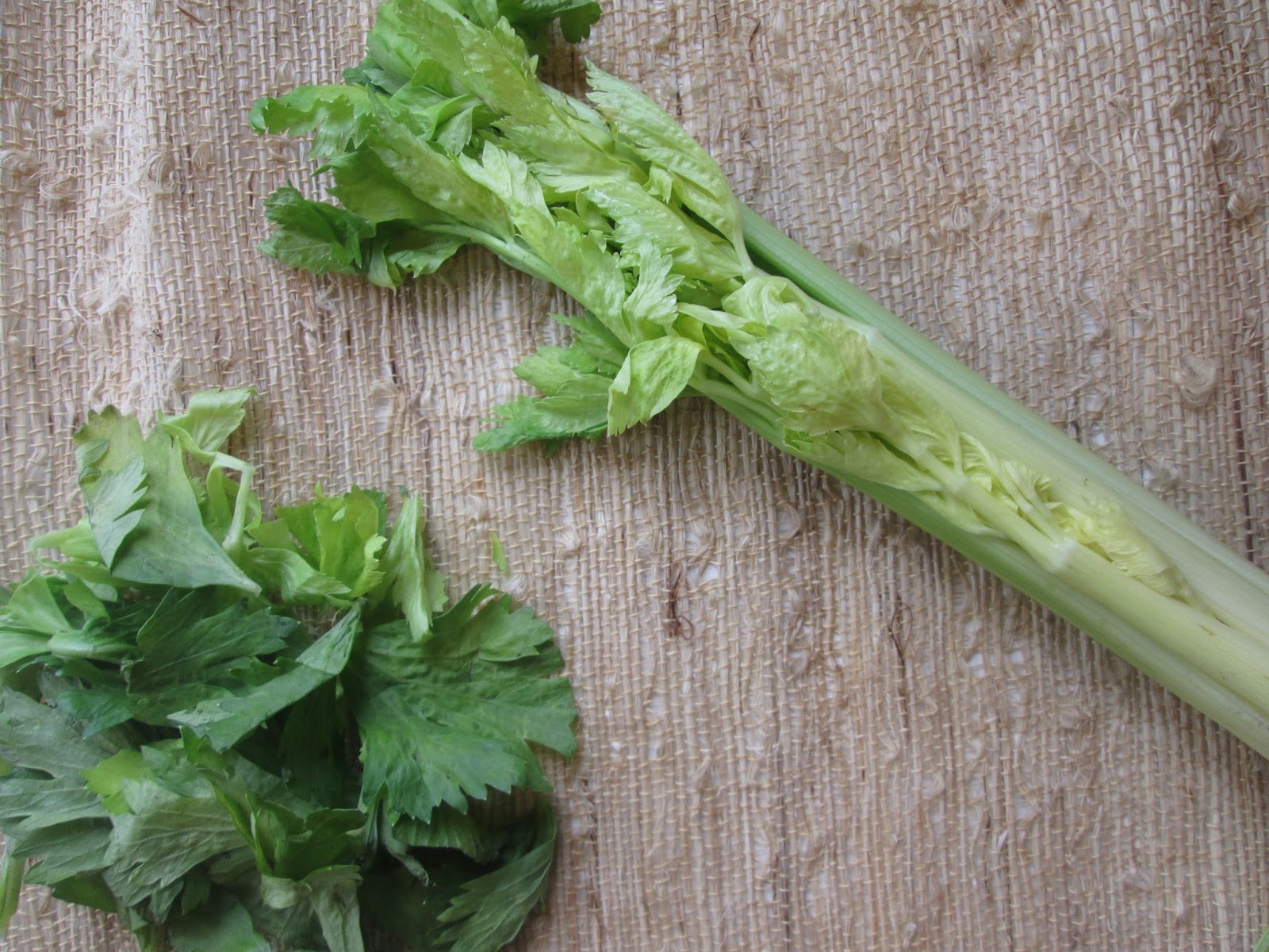 Stirring the Pot Homemade Celery Salt