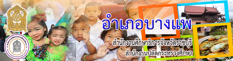 อำเภอบางแพ