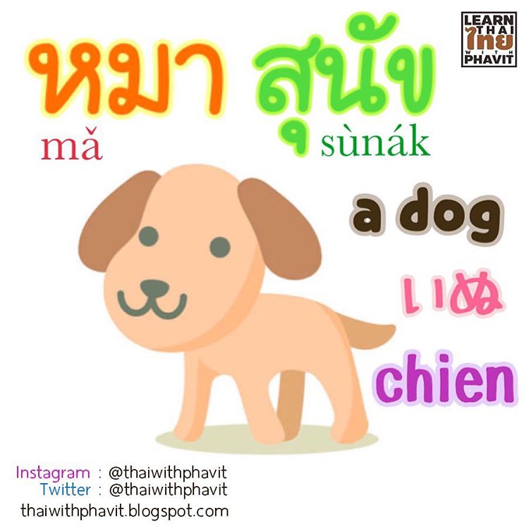 Thai Animals Vocabulary Thai Animals Vocabulary