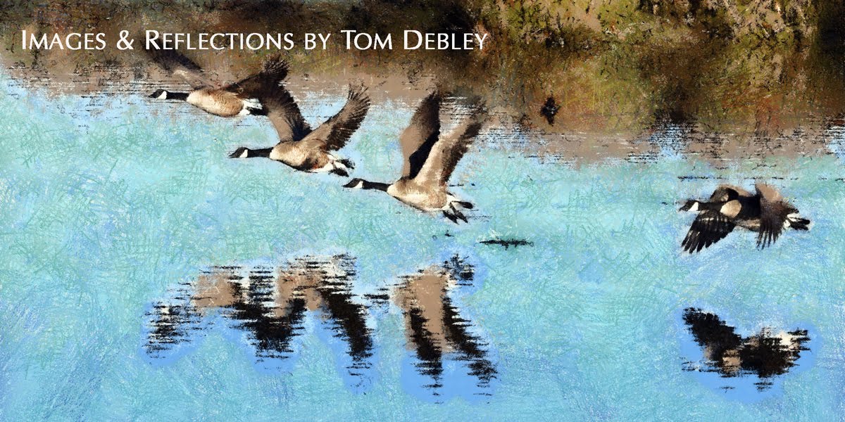 Images and Reflections by Tom Debley
