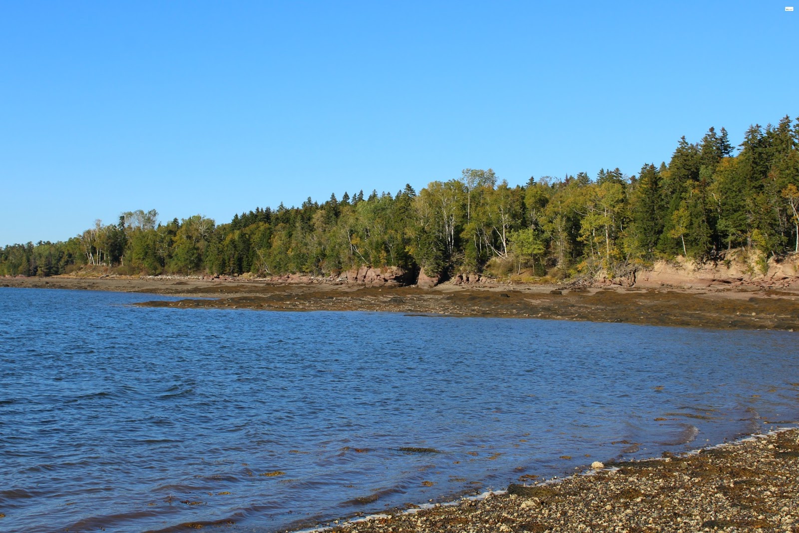 A Drive Across the Ocean Floor to Ministers Island // St. Andrews By