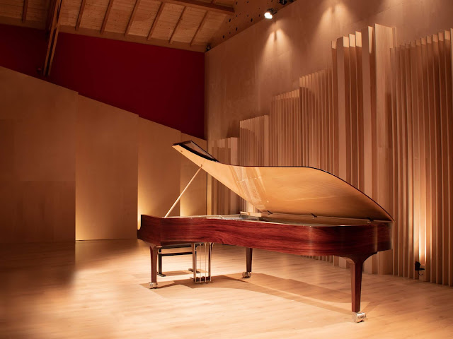 KLinger Favre Acoustique Piano Pauello Opus102