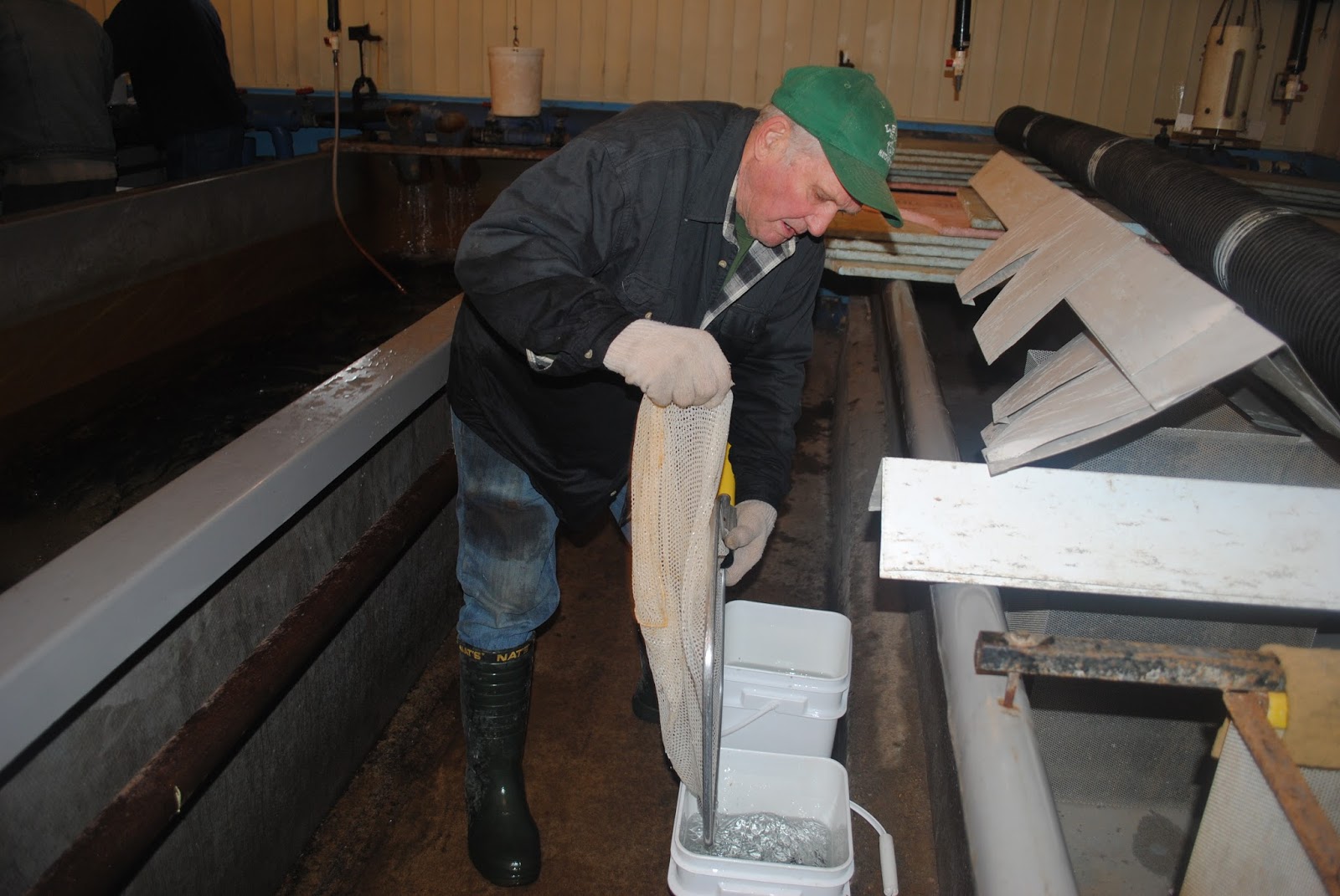 Lake Huron Fishing Club School Salmon Hatcheries and Events Lake Huron