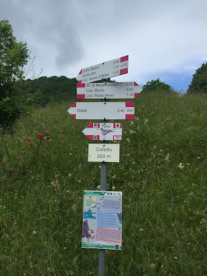 A sampling of the trail signs along the way