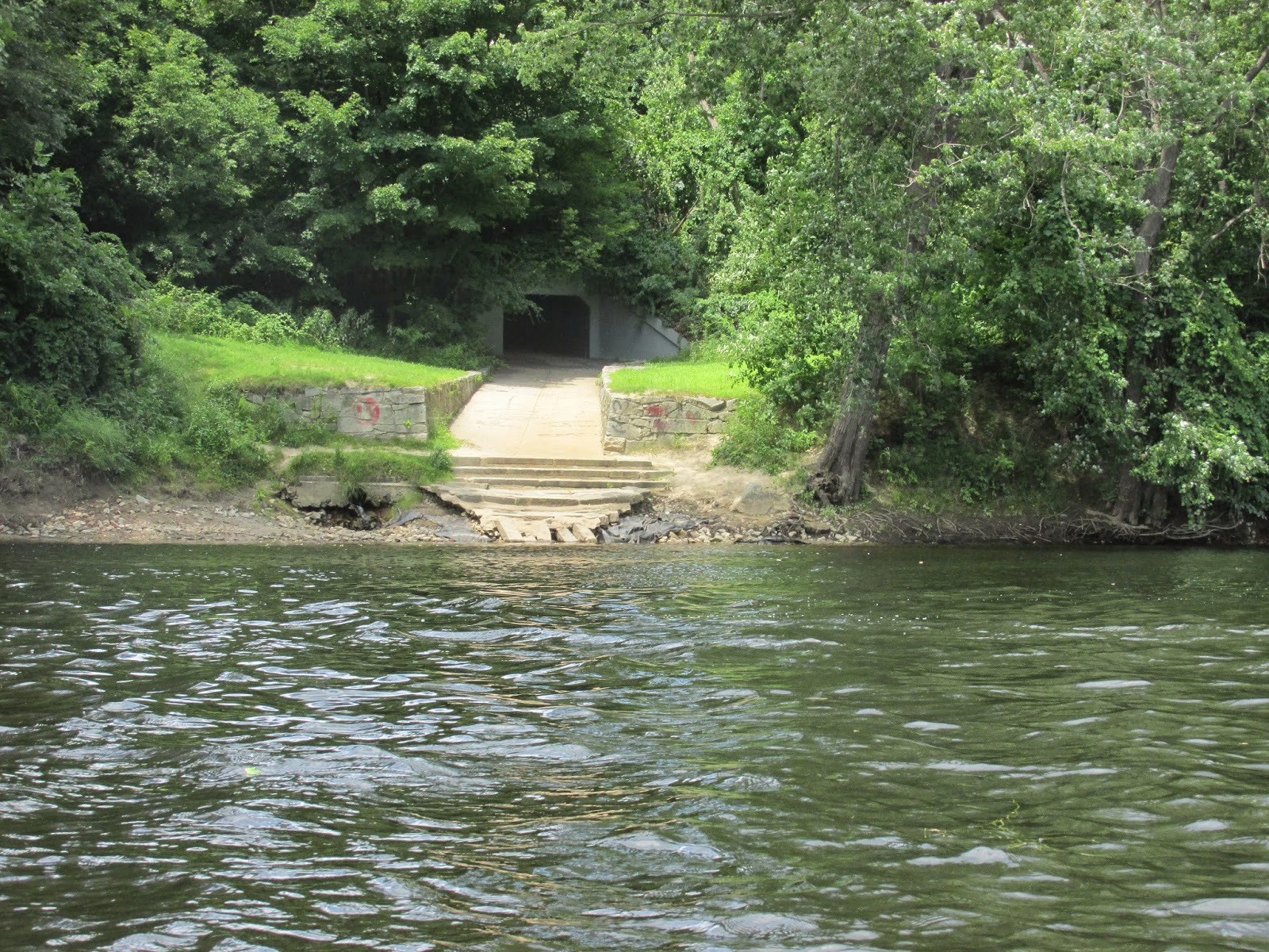Trashpaddler Reed's Island in the Merrimack