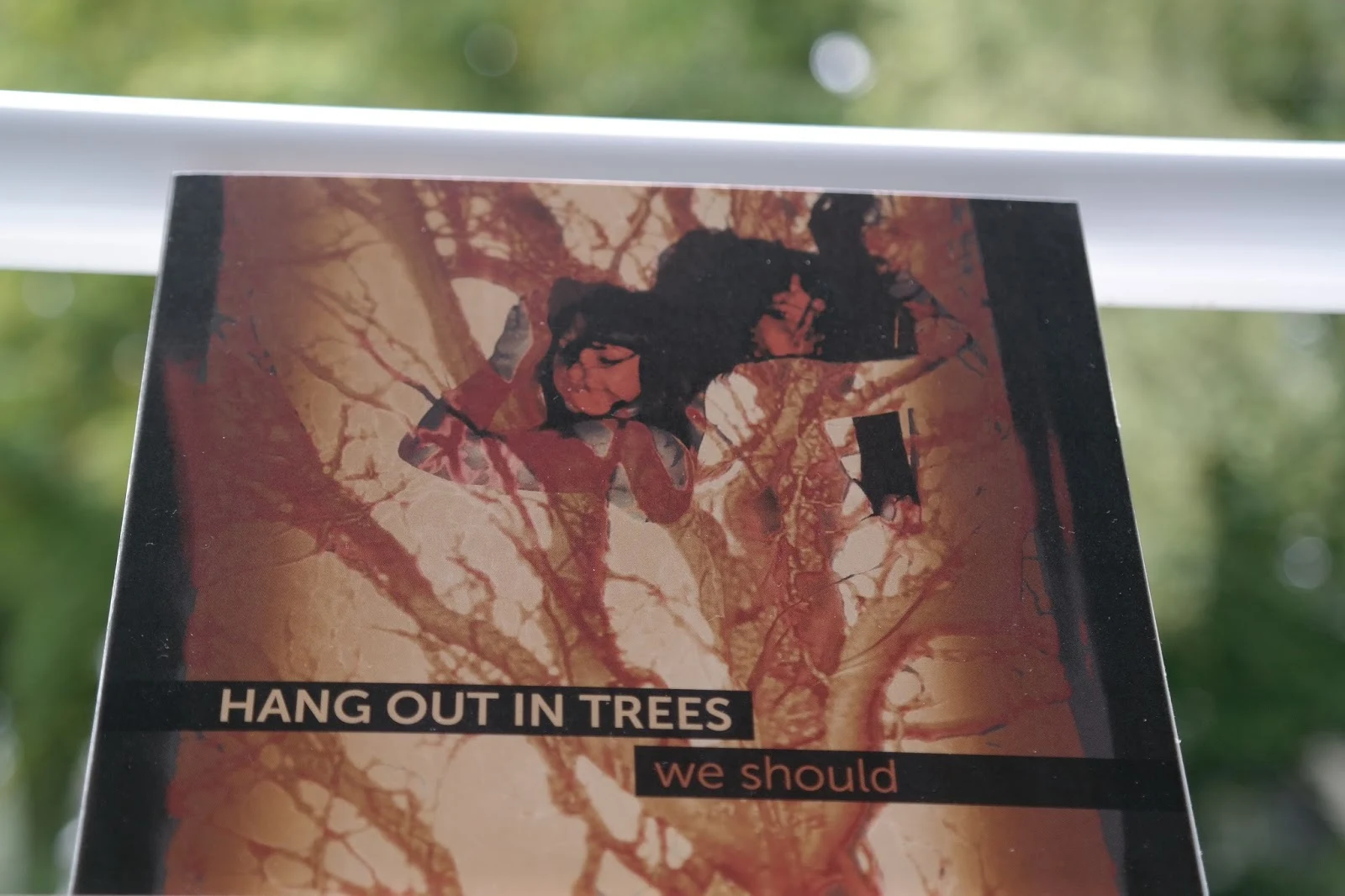 Atomlabor Blog - Hang Out in Trees - we should | Album Review - Acid Jazz