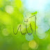 Kur’an’da “Allah dileseydi” ifadesi