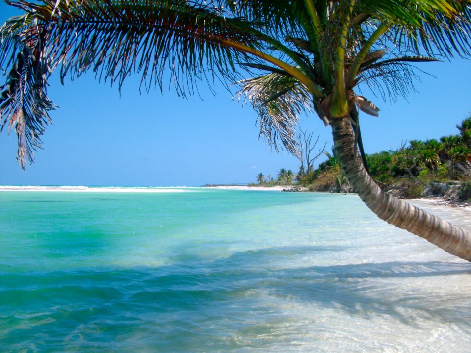 Free dating sites in island