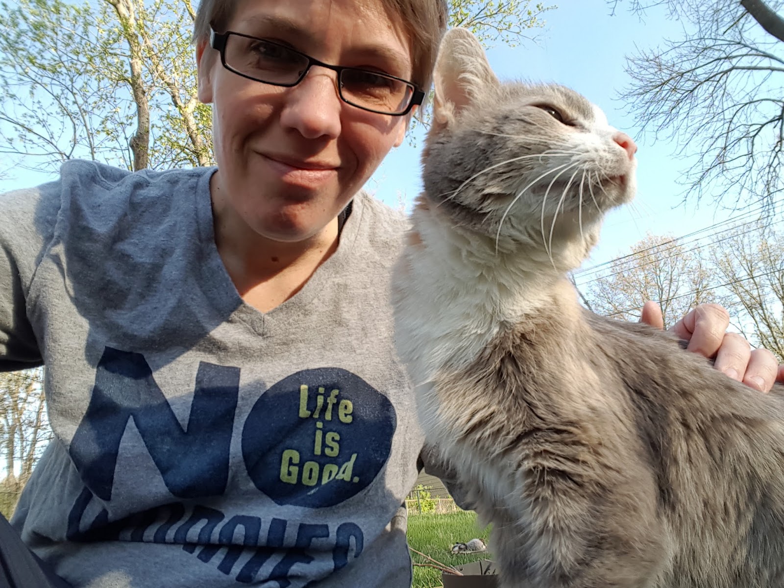 MY SOUL MATE IS A CAT