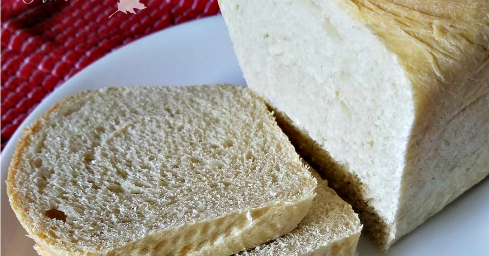 How to Make Your Own Bread Machine Mixes Oak Hill Homestead